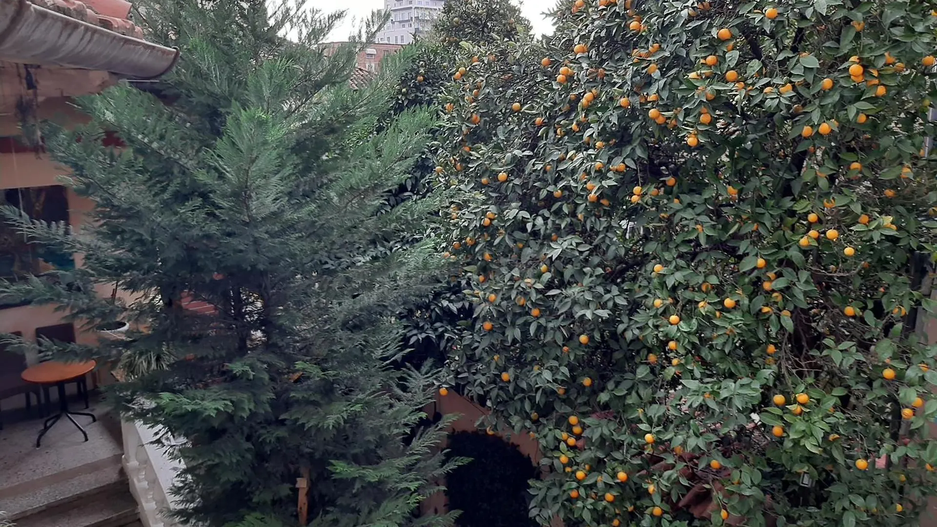 Enki'S Guesthouse تيرانا 0*,